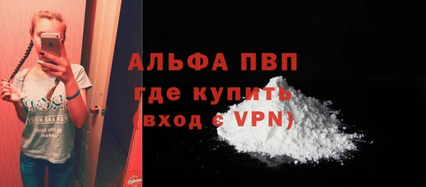гидра Заводоуковск