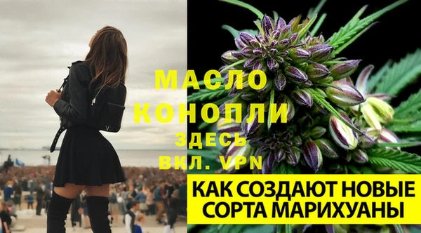 твердый Заволжск