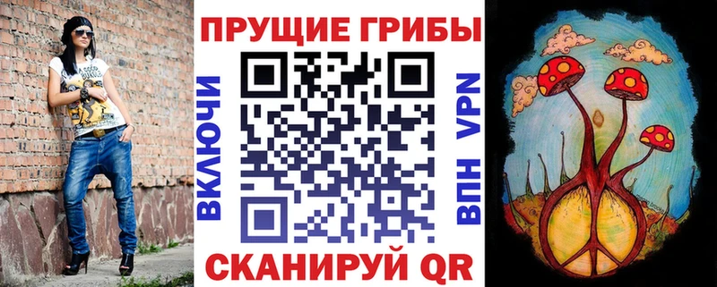 Галлюциногенные грибы Psilocybine cubensis  Карабаново 